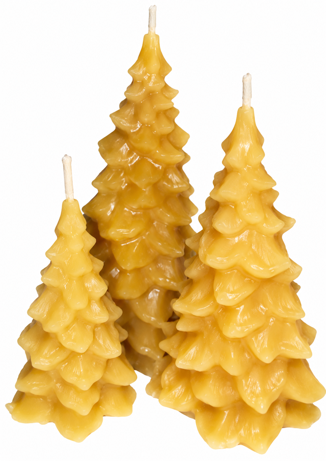 Beeswax Candles - Christmas Tree Collection